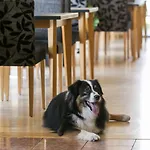 Club Am Kreischberg Hotel Sankt Georgen ob Murau