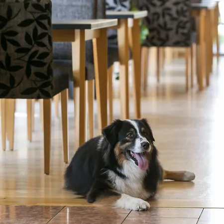 Club Am Kreischberg Hotel Sankt Georgen ob Murau