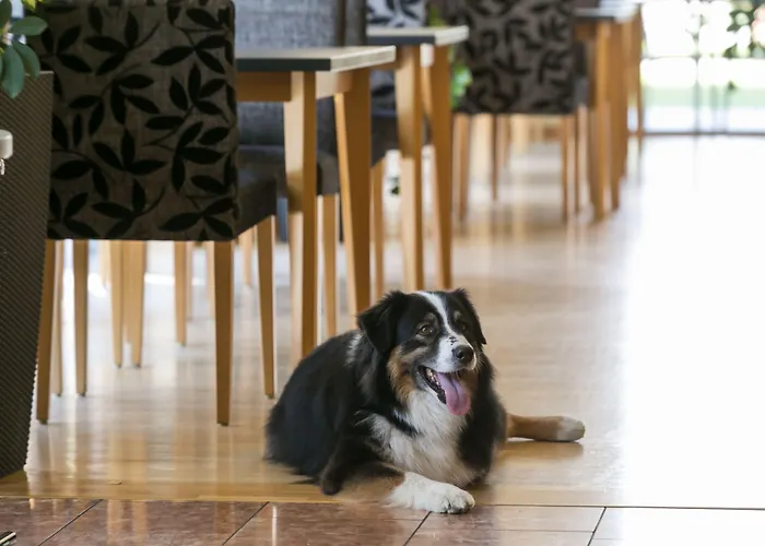 Club Am Kreischberg Szálloda Sankt Georgen ob Murau